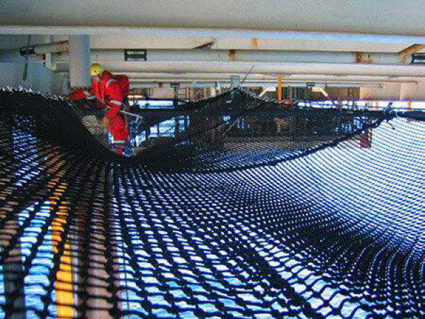 Web System - Web Net