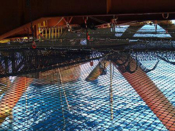 Web System - Web Net