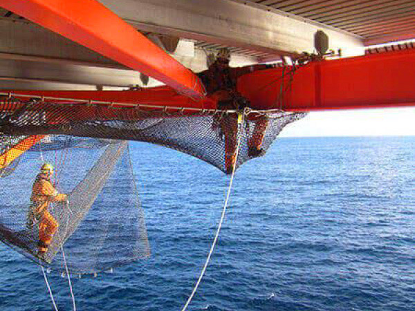 Web System - Web Net